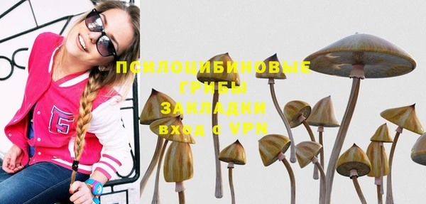 ГАЛЛЮЦИНОГЕННЫЕ ГРИБЫ Приозерск