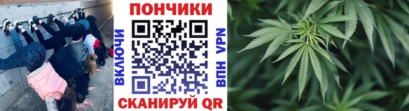 Канабис индика  где можно купить   Юрюзань 